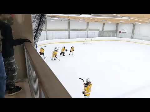 Viikingit - HyRi White