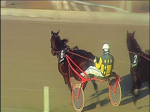 Trotto 08/12/2019 - 3ª corsa