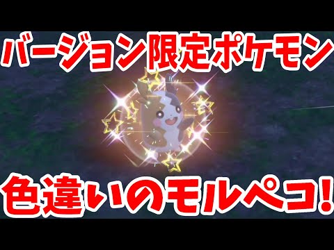 園芸 スカーレット スカルキャップ、コスタリカ スカルキャップ