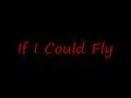If I could fly-lyrics 