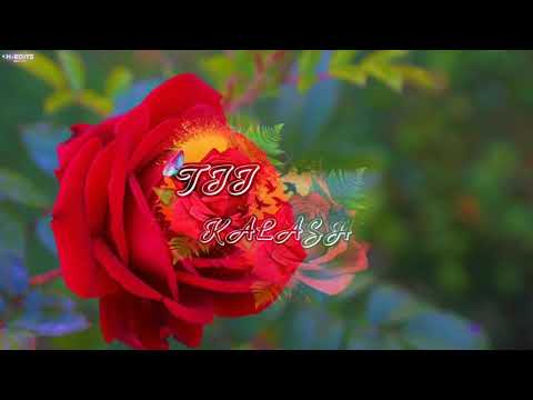 LIONESS STACY x TII KALASH - Dan To Koté Remix (B.R.C FMY) Full Audio 2021