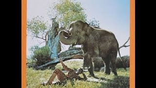 Hugh Masekela- I Am Not Afraid (Vinyl Album Preview)