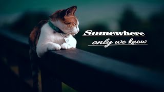 Download lagu Beautiful Relaxing Music 🎶 Somewhere Only We know - Keane (lyrics) mp3 Download lagu Beautiful Relaxing Music 🎶 Somewhere Only We know - Keane (lyrics) mp3