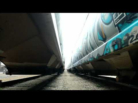 Hiding From The Bull (Freight Train Hopping)