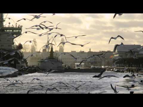 Андрей Макаревич MP3 2 CD - фото 8 - id-p2467701310