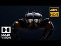 4KHDR10 Microcosmos Entomina 2022 AWARD FILM Documentary DOWNLOAD AVAILABLE IN DOLBY VISION