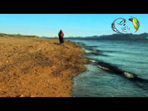 02 TRADICIONES TELEVISA- Sonora- El Año Nuevo Seri. (2).