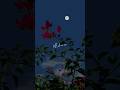 Vinmeen Vidhaiyil Song Tamil Love Status Song Status Youtube Shorts Tamil Lyrics
