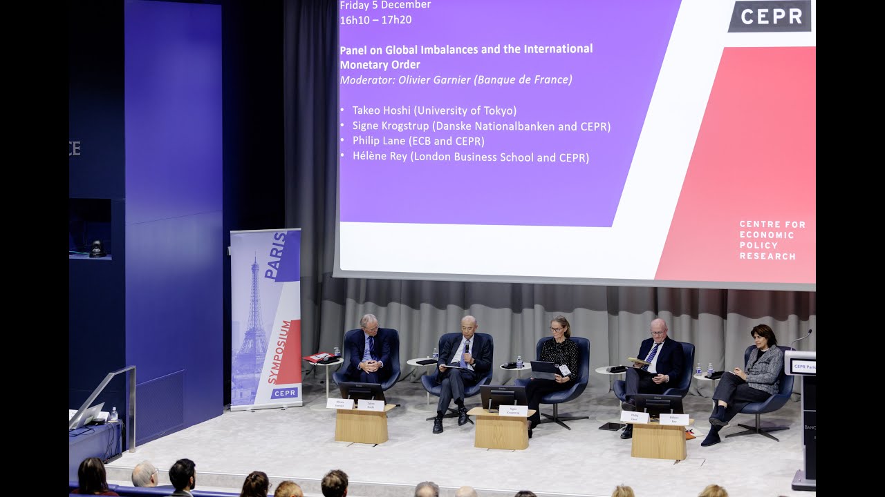 Panel on Global Imbalances and the International Monetary Order