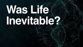 Download lagu Was Evolution Inevitable? mp3