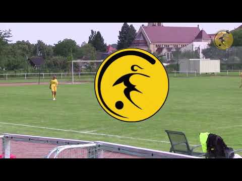 1. FFC Fortuna Dresden 2 vs. SG Dynamo Dresden U17 0:10