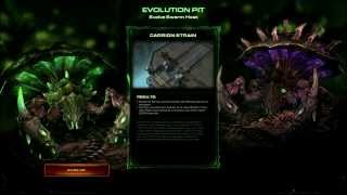 Let's Play SCII: Heart of the Swarm Part 23 - Choose Your Spawner
