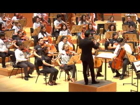 Beethoven: Fidelio Overture - YOLA + SBSOV at the 2015 Take a Stand Symposium