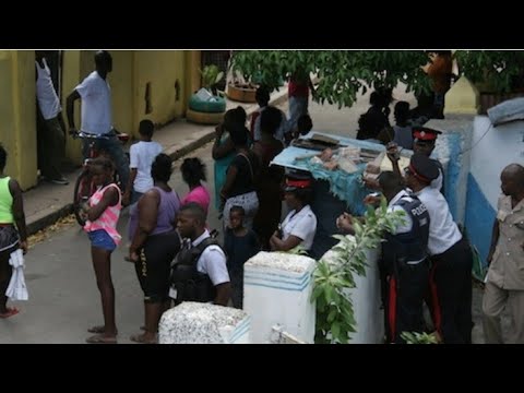 Jamaica big MP brother a drvgs......