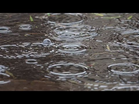 Relaxing Rain - 3 Hours - light rain sounds for sleep, meditation, study