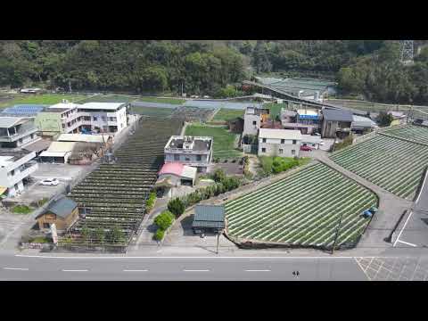 DFLY6805 Miaoli Great Lake Town Badliao Bay Grass Garden