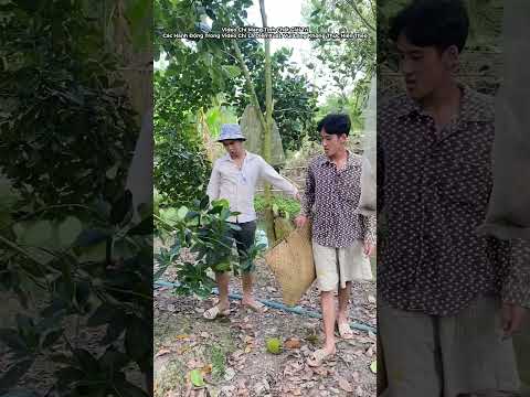 Mother of the 5kg6 Chicken 🤣 | PD #shorts