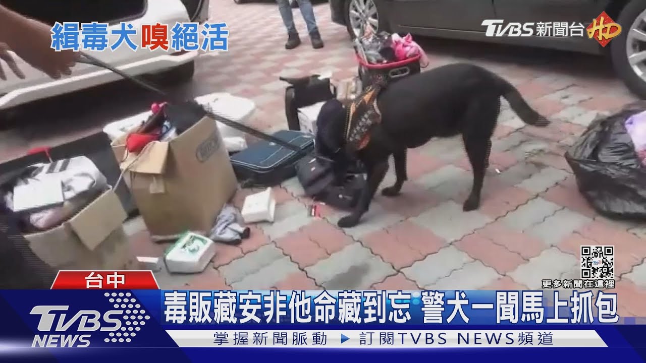 毒販藏安非他命藏到忘 警犬一聞馬上抓包