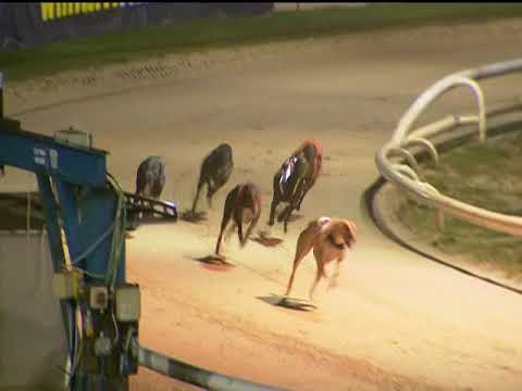 2017 WILLIAM HILL ANGEL OF THE NORTH OAKS FINAL - T3 GEELO ZIP