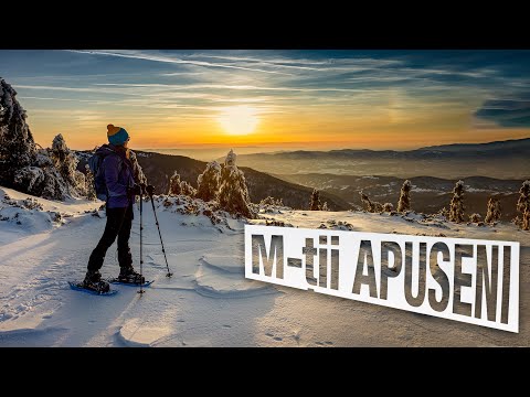 Munții Apuseni - Iarna nu-i ca vara. drumeție de iarnă pe Creasta Bihorului, vârful Curcubăta Mare
