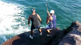 preview picture of video 'Rock Fishing off Windang Island'