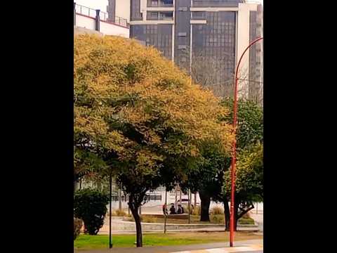 Costanera de Villa Carlos Paz, Córdoba, Argentina. #villacarlospaz