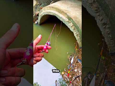 How to catch unique fish in the world by mini rod in river #fishing #fish #shorts