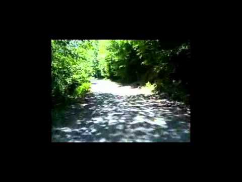 Biking Valea Cosustei -