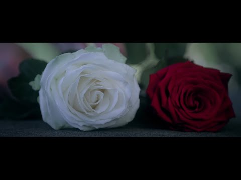 My Immortal - Evanescence (Cover by Emotia)