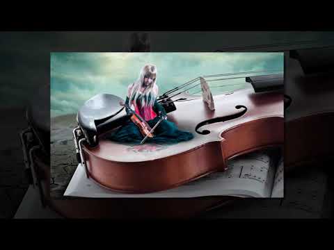 OTTA orchestra Delight