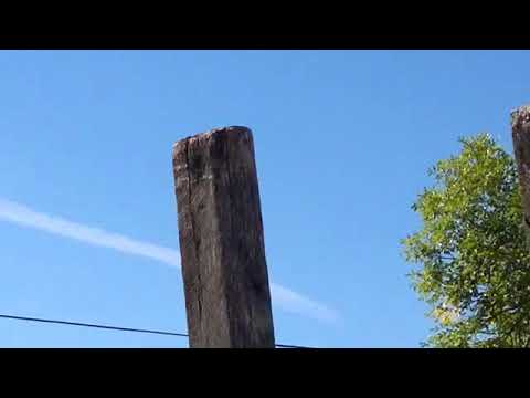 076 - 24/03/2014 - 10.05.09hs - Flightradar24