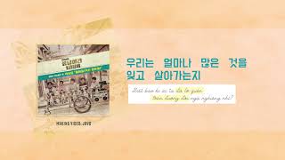 [VIETSUB/HANGUL] HYEHWADONG (혜화동) |PARK BORAM (박보람) |  응답하라 1988 O.S.T