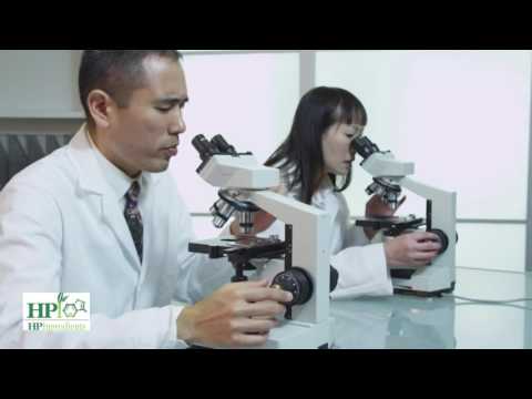 Maqui Super Berry - HP Ingredients