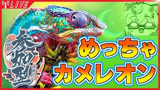 【参加型】一緒に遊ぼう！【めっちゃカメレオン】