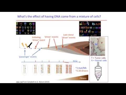 Sequencing analysis of cancer tissue samples: FFPE vs.Fresh Frozen