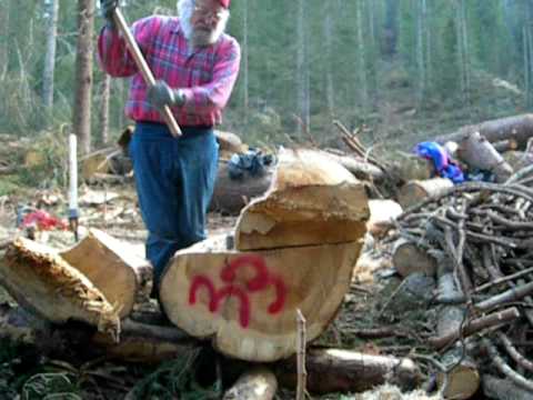 comelico bruno pomarè mazza e  cogno