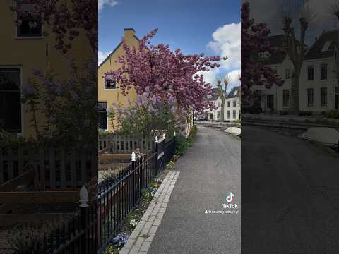 The Sleeping Village in The Netherlands, Abcoude🇳🇱#village #abcoude#thenetherlands