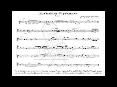 Little Sunflower Trumpet solo by Freddie Hubbard