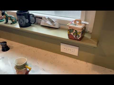 Counters Overrun with Ants in Atlantic Highlands, NJ