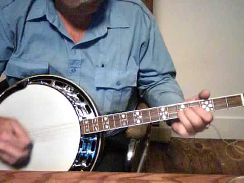 Gold Tone TS-250 4-String Flat Top Resonator Tenor Special Banjo image 10