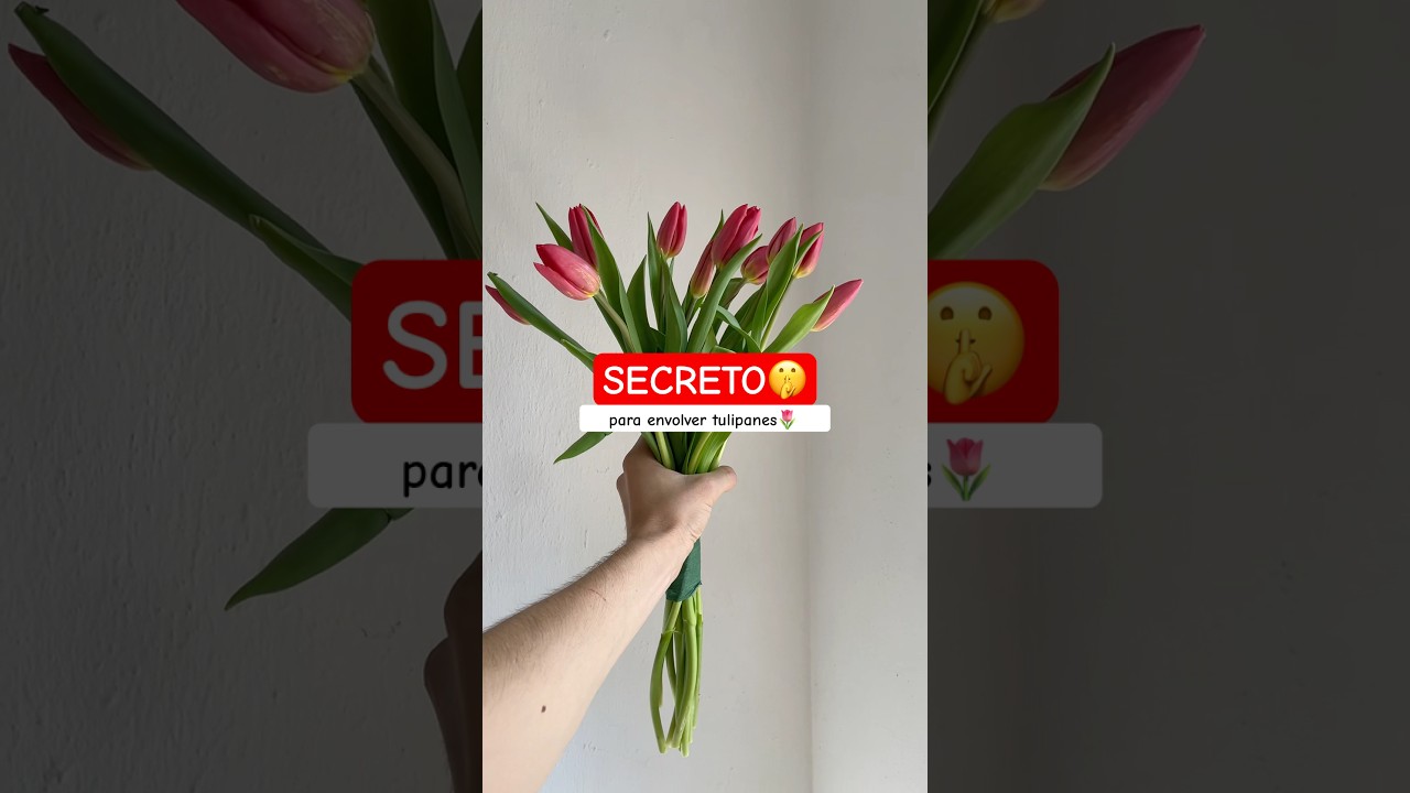Como envolver un ramo de tulipanes🌷 #florista #floristeria #tulipanes #asmr