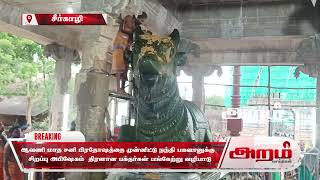 ஆவணி மாத சனி பிரதோஷத்தை முன்னிட்டு நந்தி பகவானுக்கு சிறப்பு அபிஷேகம். திரளான பக்தர்கள் பங்கேற்று வழிபாடு.