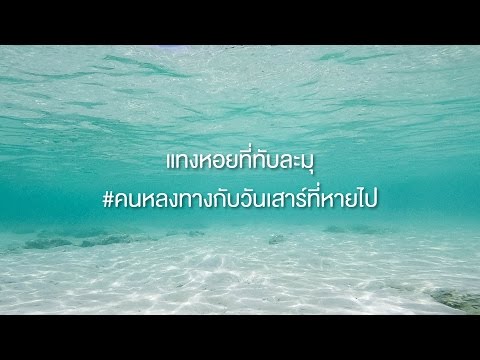 คลิกเพื่อดูคลิปวิดีโอ