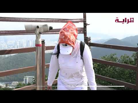 أخبار منوعة – بالفيديو: حشرة “الحب” تغزو كوريا الجنوبية
