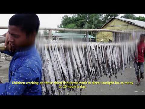 Watch Contemporary Situation and Research Findings: Dried Fish Sector on YouTube