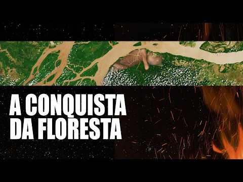 Trailer de A conquista da floresta (2024)