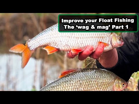 Improve your Float Fishing - Part 1