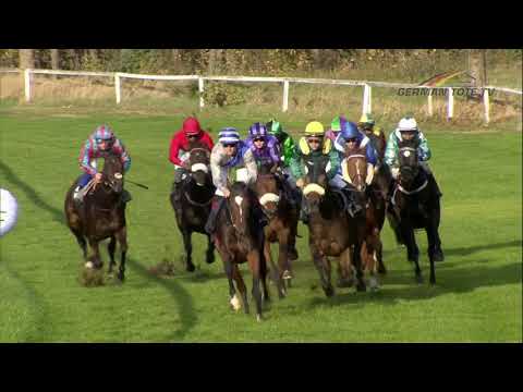 Galopprennbahn Dresden  - 20.10.2018 - Rennen 7