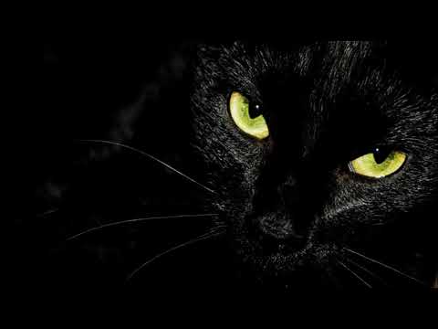 Scary Stories to Tell in the Dark- Wait till Martin Comes