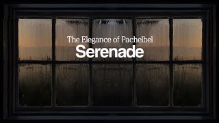 Download lagu The Elegance of Pachelbel - Serenade mp3 Download lagu The Elegance of Pachelbel - Serenade mp3